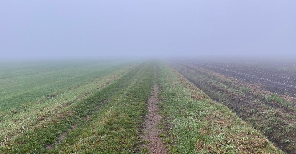 Houvast in Corona-tijd